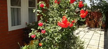 Гостевой дом Советская 43/3