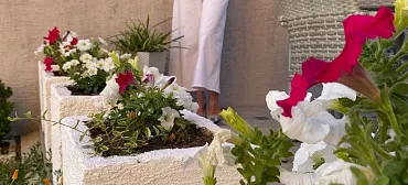 Гостевой дом ДИВО