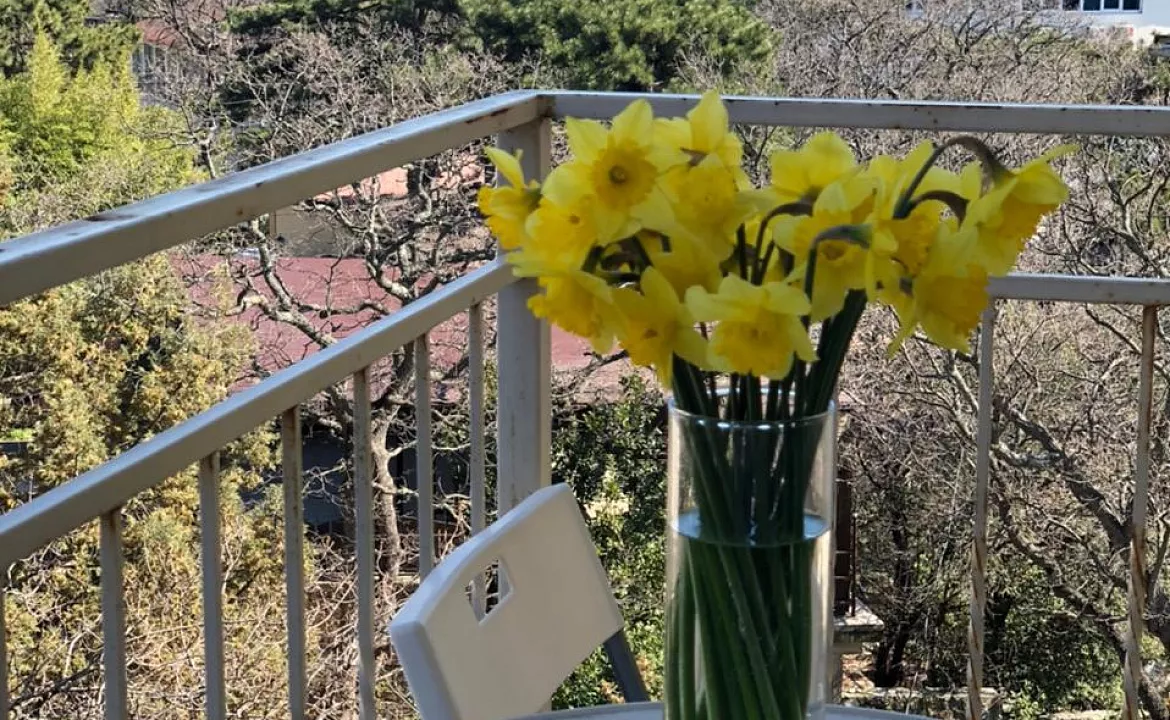 Полулюкс. Отель Апарт отель "Дуэт". Ялта