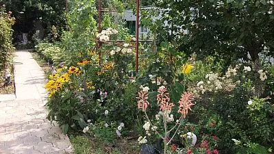 . Частный сектор Тихий семейный отдых. Ейск