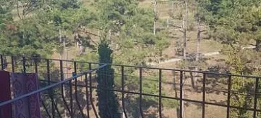 Гостевой дом «Пчелка Майя»