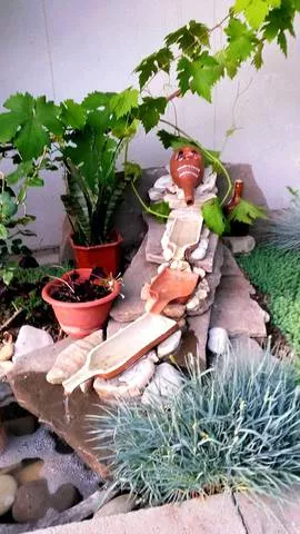 . Гостевой дом «Морская миля». Архипо-Осиповка