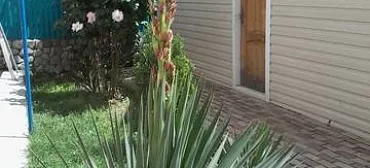 Частный сектор На Армейской