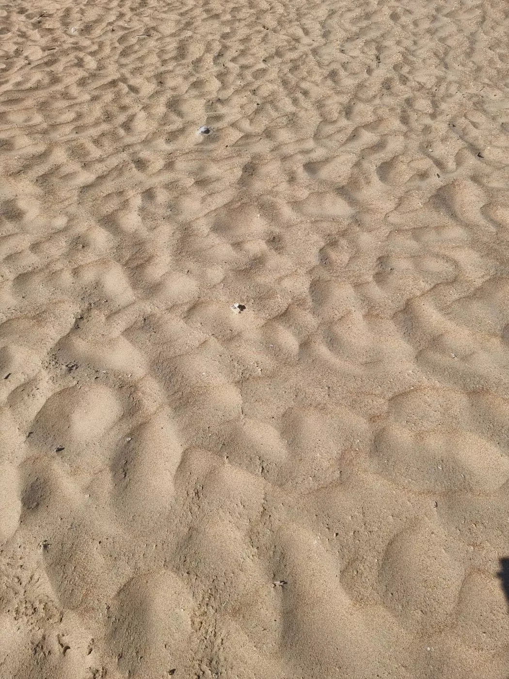 . Гостевой дом "Мелодия моря". Джемете