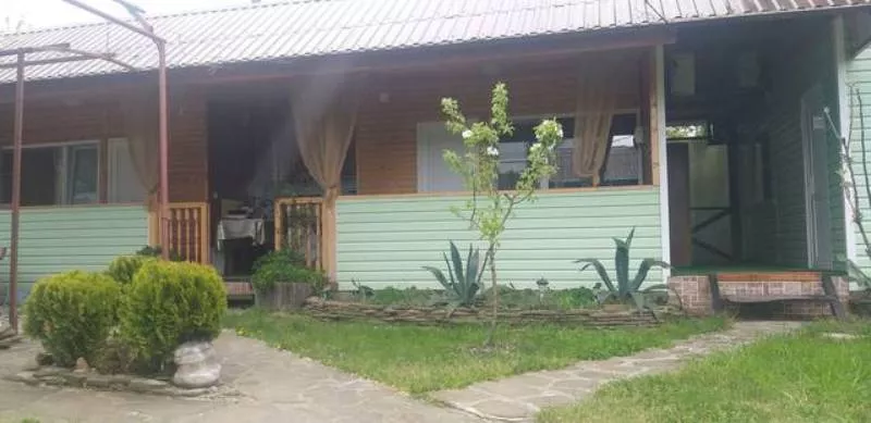 . Частный сектор У Амира. Головинка