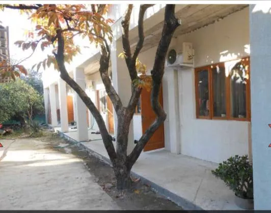 . «Роберт и Оксана». Пицунда