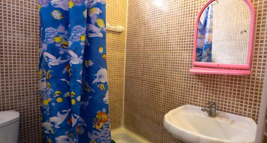 . Частный гостевой дом У Николаевны. Геленджик