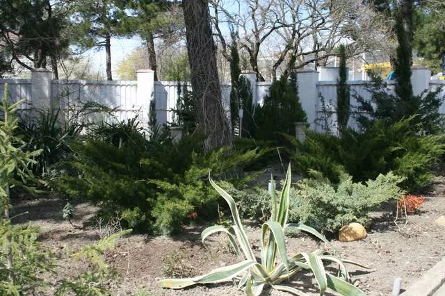 . Отель Мини-отель "Рассвет". Геленджик . Отель Мини-отель "Рассвет". Геленджик