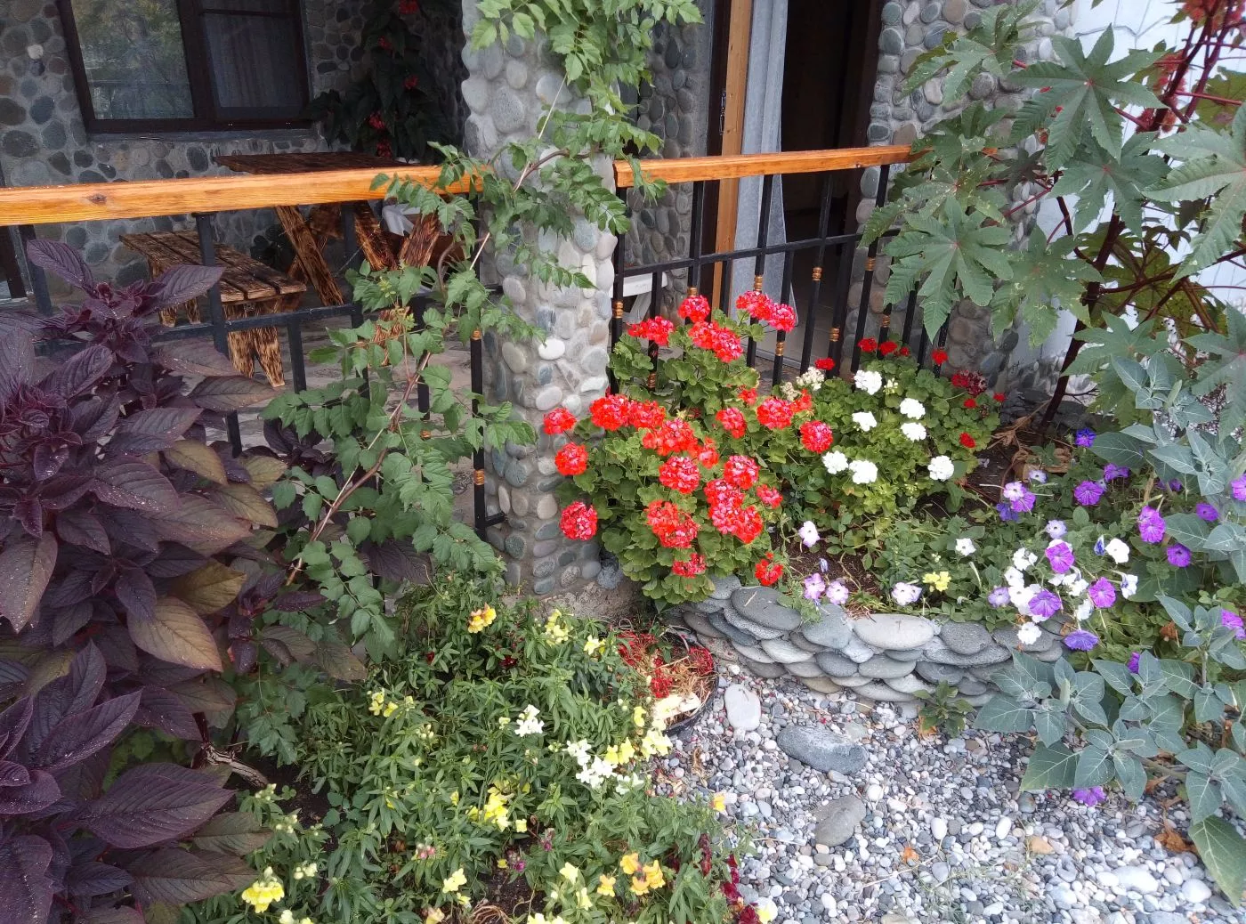 . Гостевой дом Лотос . Пицунда