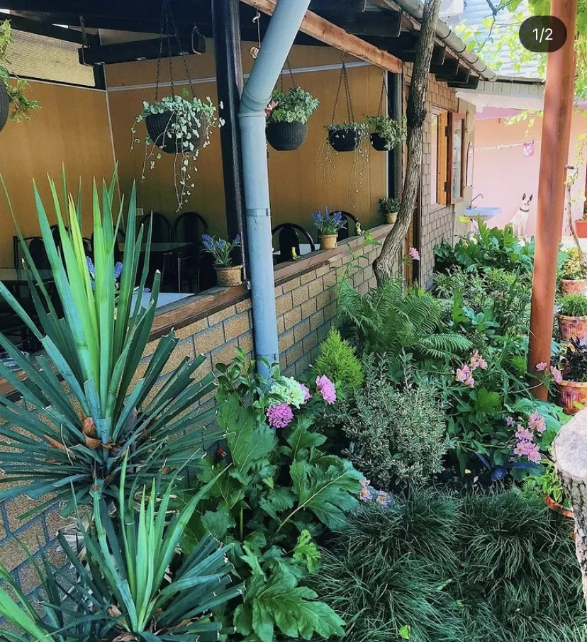 . Частный сектор на Белинского 8А. Лазаревское . Частный сектор на Белинского 8А. Лазаревское