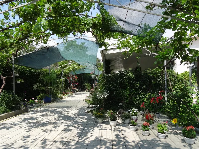 . Гостевой дом "Жемчужина". Симферополь