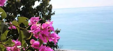 Отель Дача художников