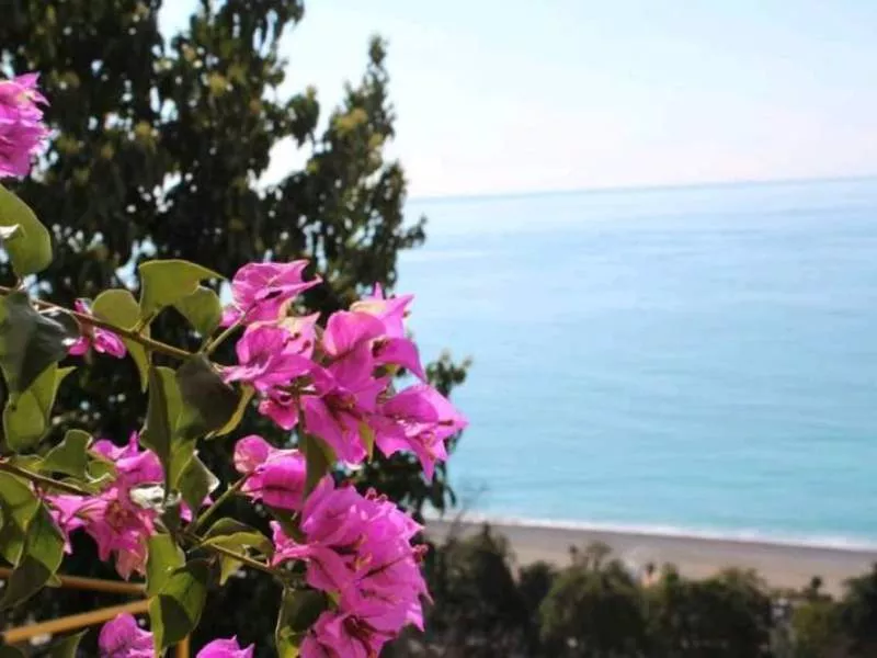 . Отель Дача художников. Гагра