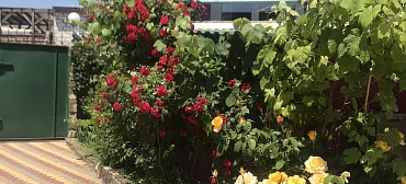 Гостевой дом У Наталии 