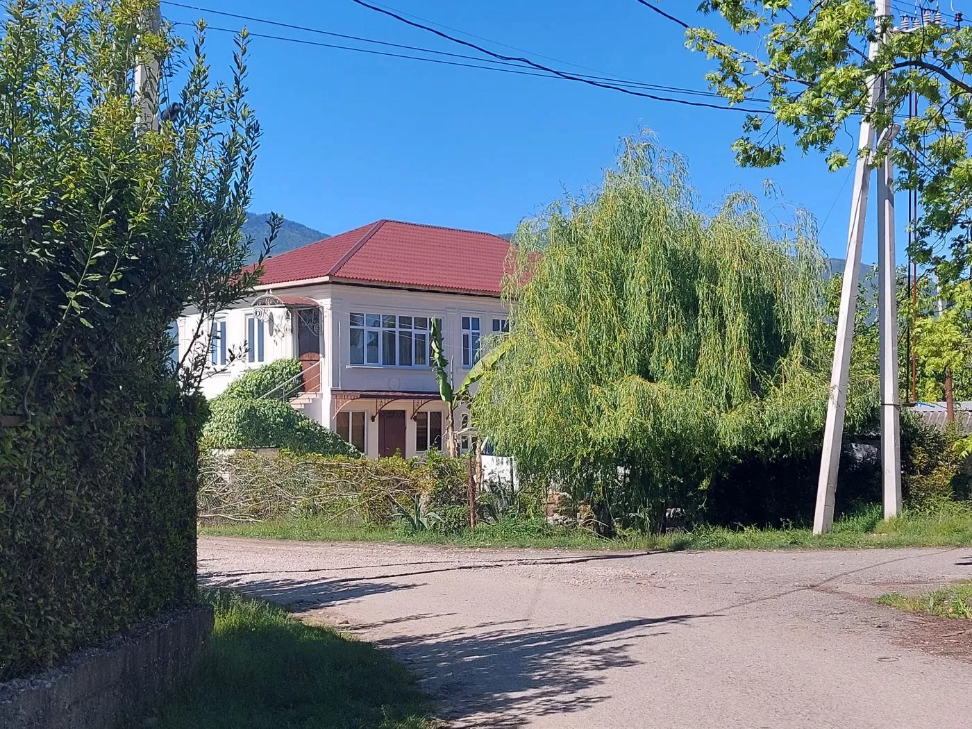 . Гостевой дом ЭЙВА. Пицунда