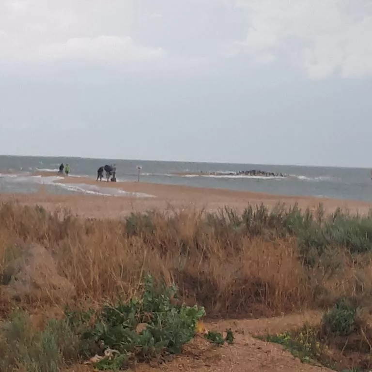 . Гостевой дом "Сокол". Должанская