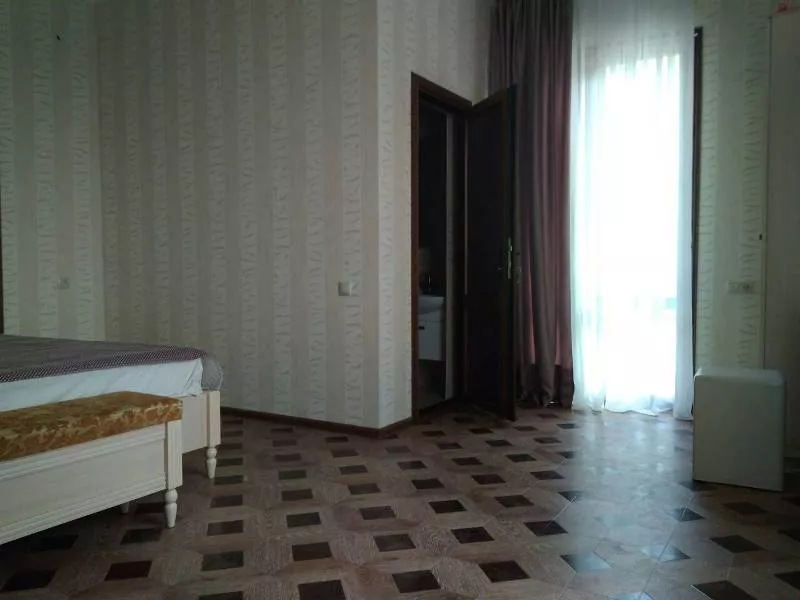 Стандарт. Гостевой дом София-Виктория. Гагра