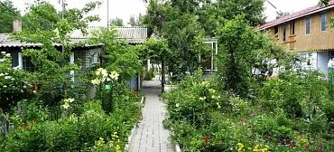 Частный сектор "Зеленый Дворик"