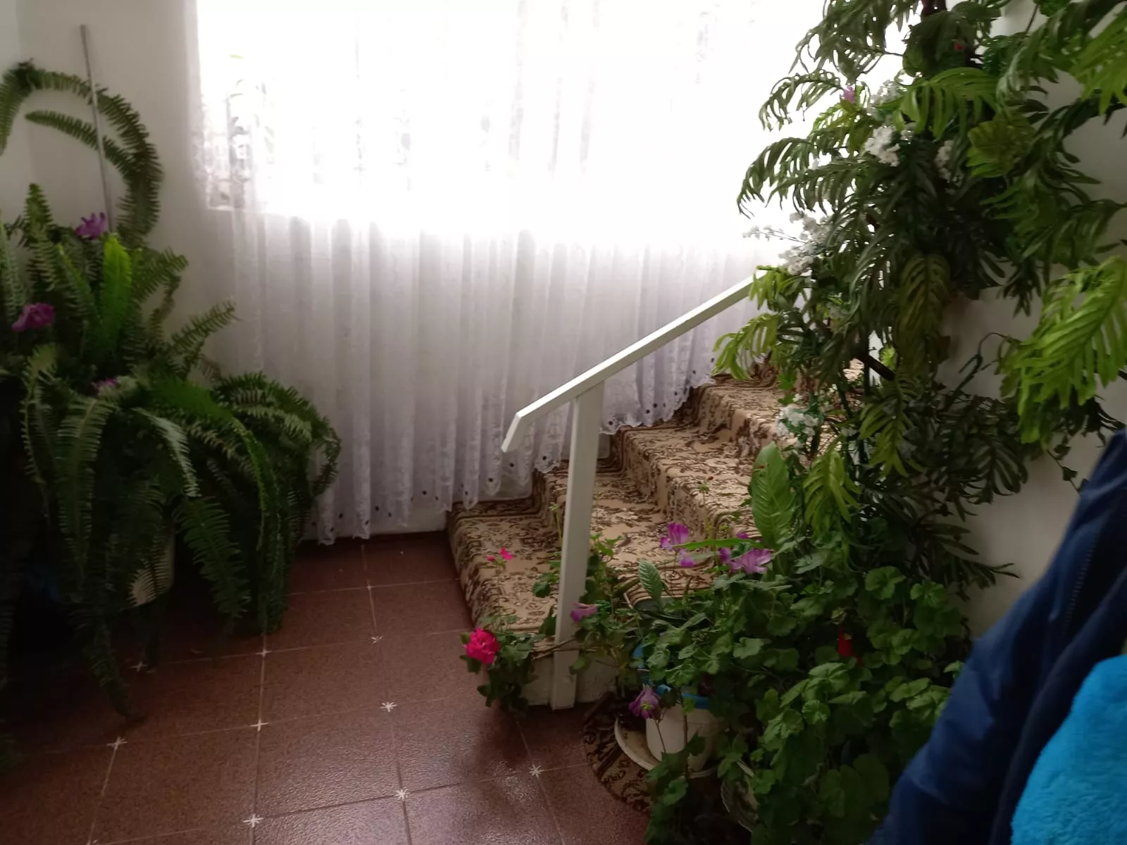 . Гостевой дом "Ласточка" - Лоо. Лоо . Гостевой дом "Ласточка" - Лоо. Лоо