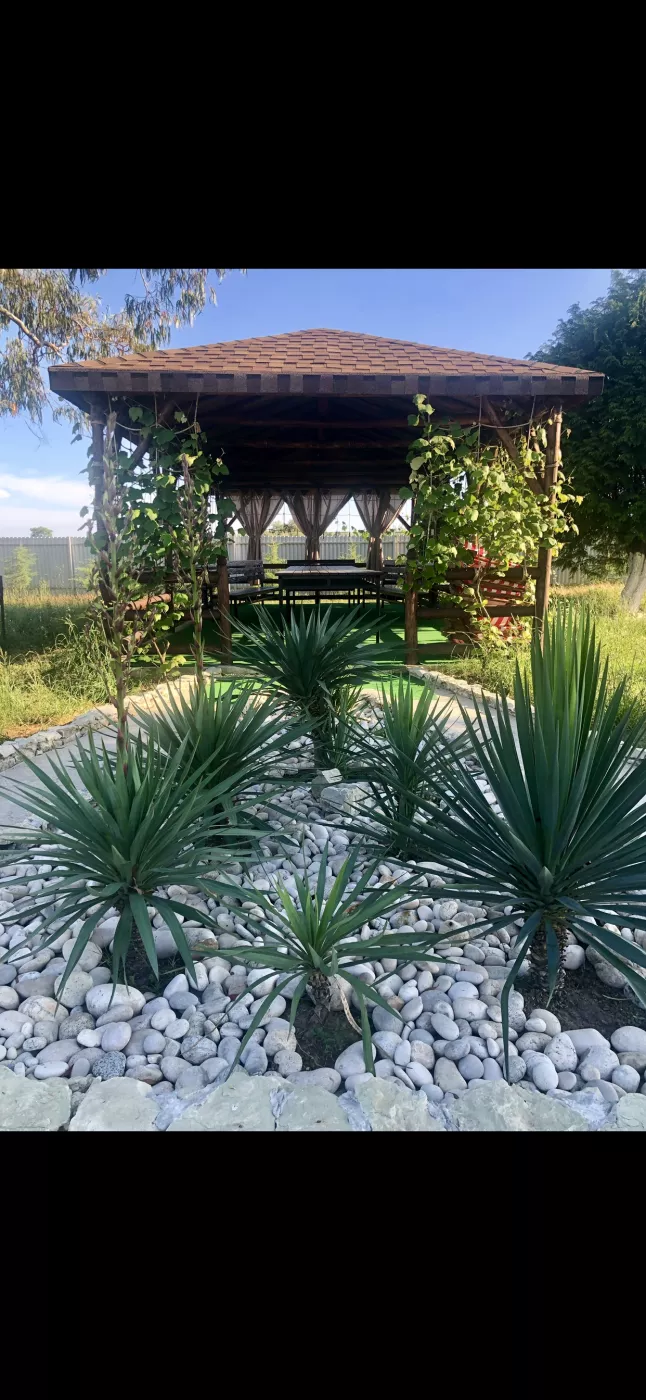 . База отдыха "Скурча". Сухум