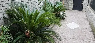 Гостевой дом "У Лукоморья как в сказке"