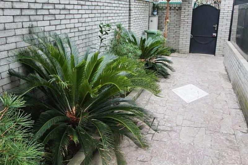 . Гостевой дом "У Лукоморья как в сказке". Адлер