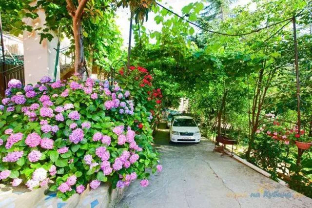 . Гостевой дом «Аэлита». Адлер