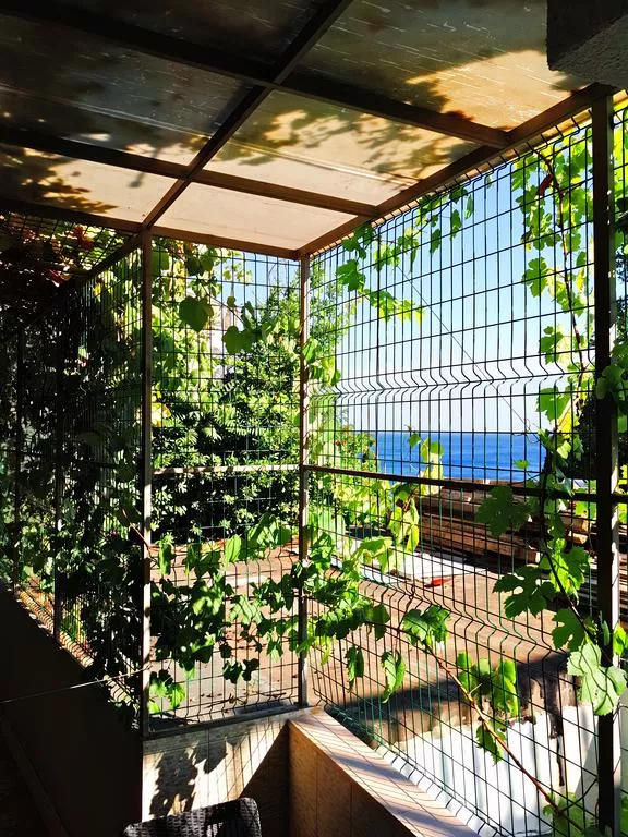 . Частный гостевой дом Матрос. Ялта