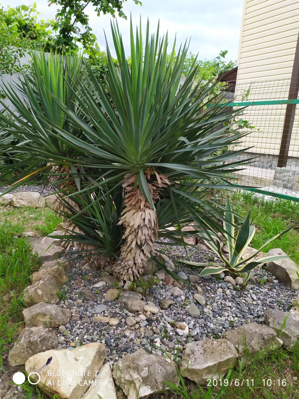 . Гостевой дом Family Holiday. Цандрипш