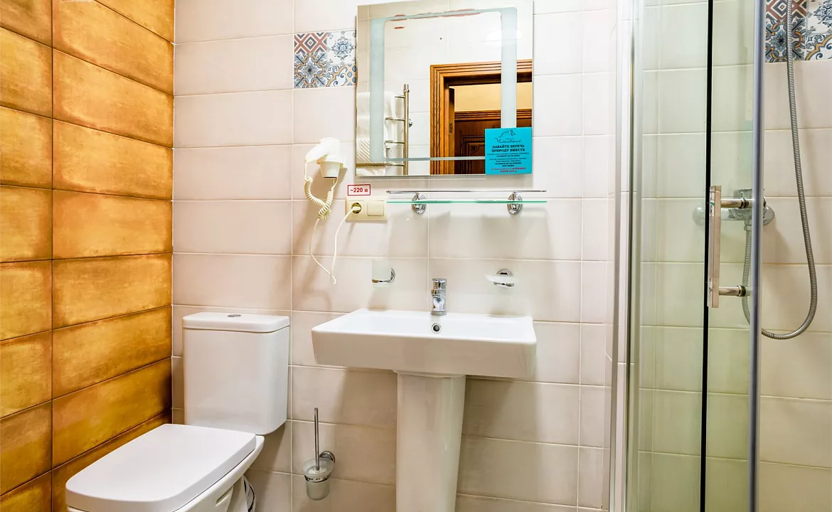 Двухместный стандарт. Отель "Чайковский". Сочи