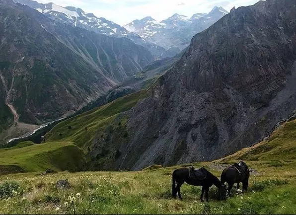 . Гостевой комплекс  Family club. Эльбрус