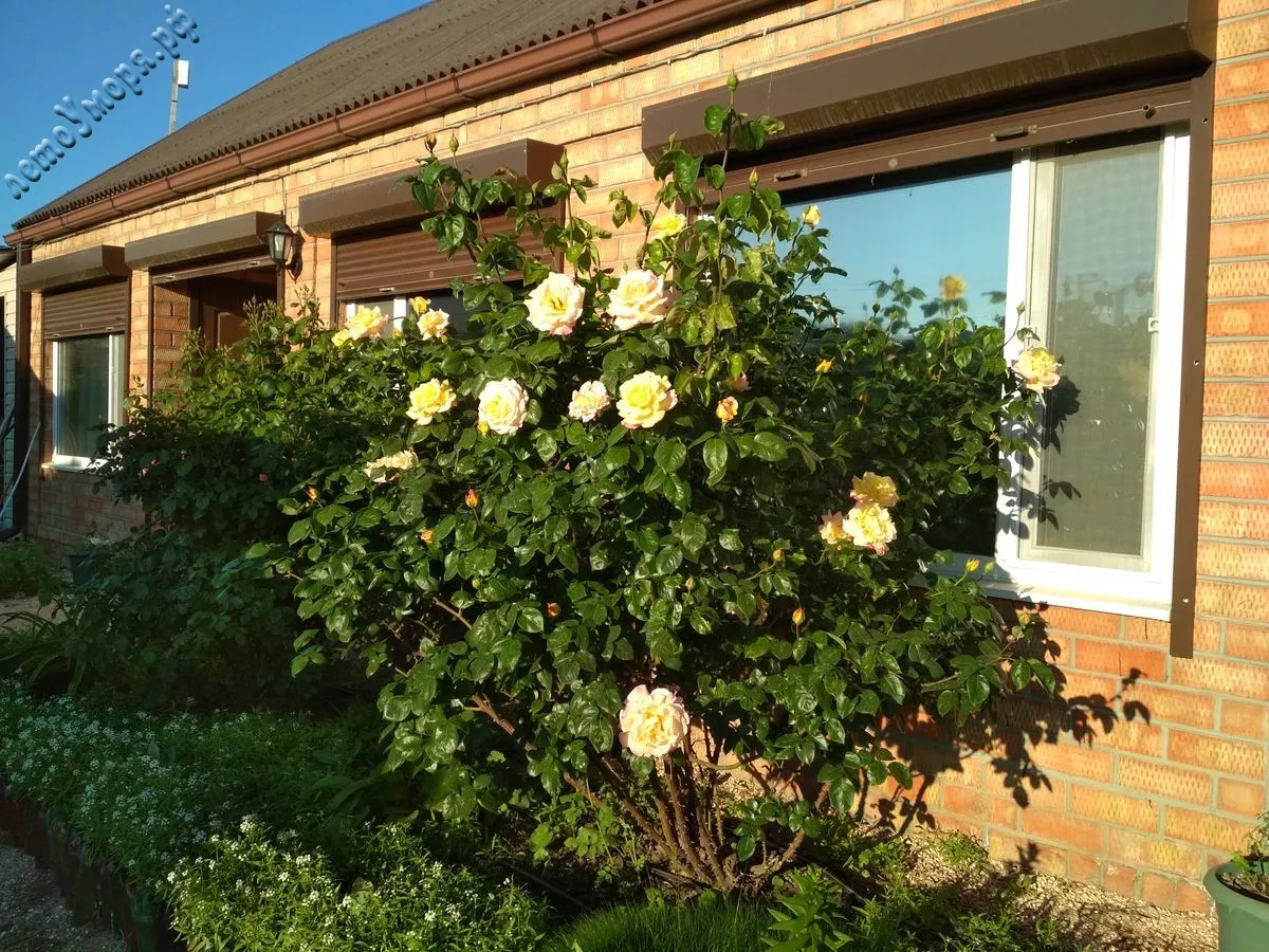 . Гостевой дом На ул Приморской 1Б. Должанская . Гостевой дом На ул Приморской 1Б. Должанская