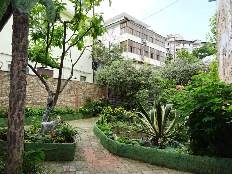 . Частный сектор "Афина". Сочи . Частный сектор "Афина". Сочи