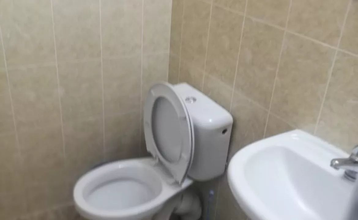 3-х местный. Гостевой дом《Сосновый бор》. Лазаревское 3-х местный. Гостевой дом《Сосновый бор》. Лазаревское