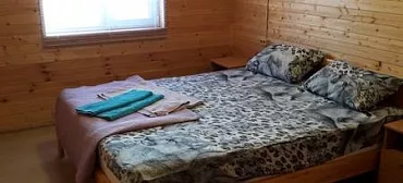 Дом под ключ Незабудка 