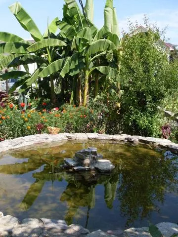 . Частный сектор «София». Вардане