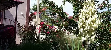 Дом под-ключ Качинское шоссе 8 