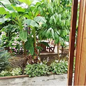 Гостевой дом Тропиканка