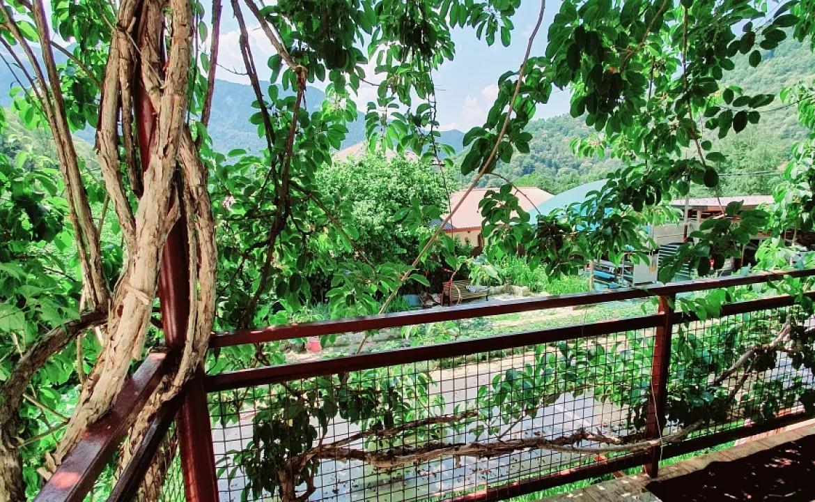 двухкомнатный четырехместный номер с большим балконом и видом на горы. Гостевой дом Родник. Красная Поляна