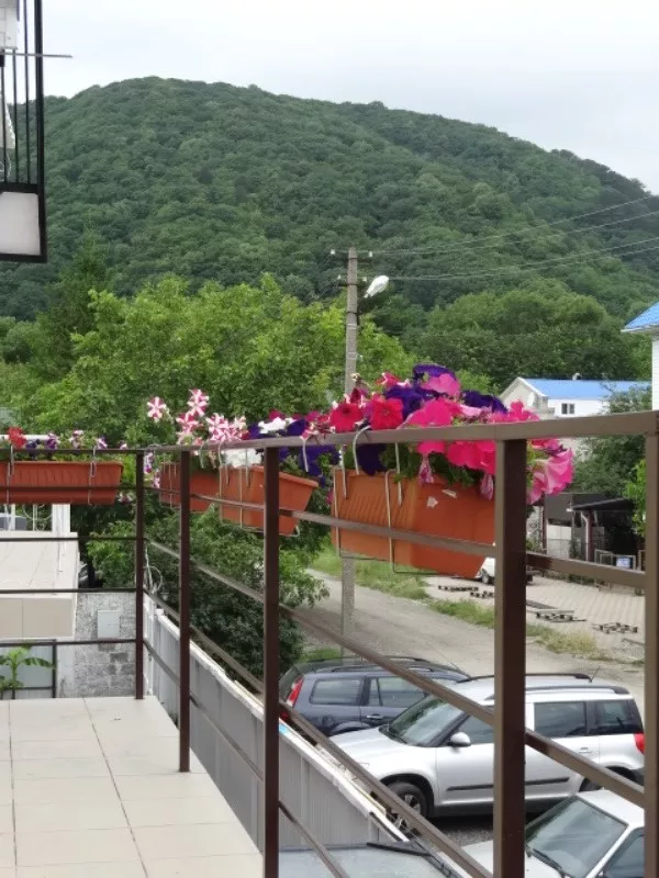 . Гостевой дом "Мила". Архипо-Осиповка