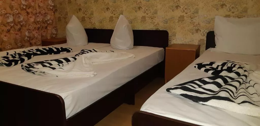 3х местный Эконом. Гостевой дом Виолетта . Адлер 3х местный Эконом. Гостевой дом Виолетта . Адлер