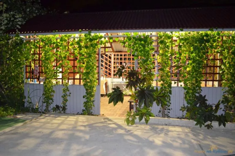 . Гостевой дом "Водолей". Небуг