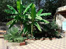 Частный сектор "Ирина" 