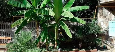 Частный сектор "Ирина" 