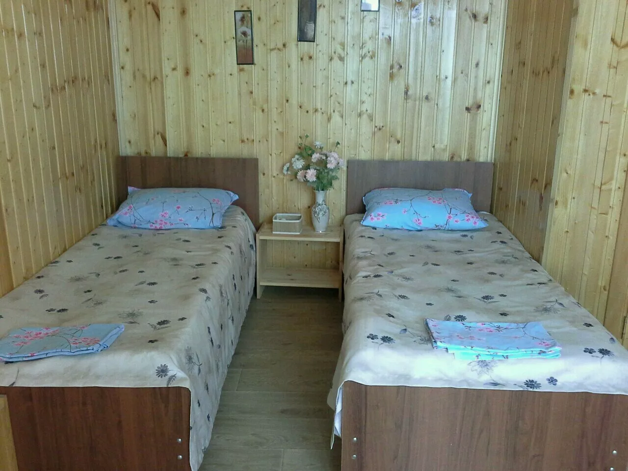 . Гостевой дом Ассоль. Гагра