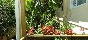 Гостевой дом "Валентина" - Адлер