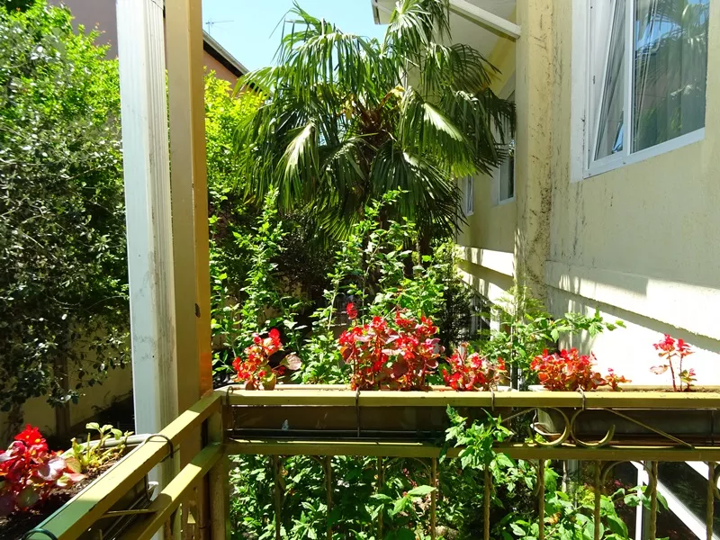 . Гостевой дом "Валентина" - Адлер. Адлер