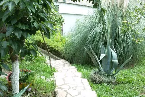 . Частный сектор Марина. Макопсе