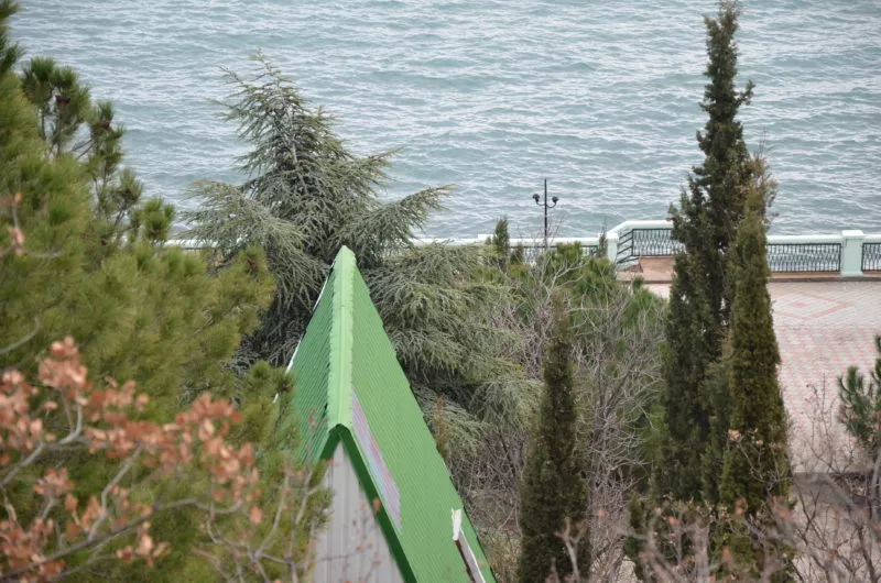 Эконом КОТТЕДЖ №11. Эко-отель «АЛЫЕ ПАРУСА». Солнечногорское