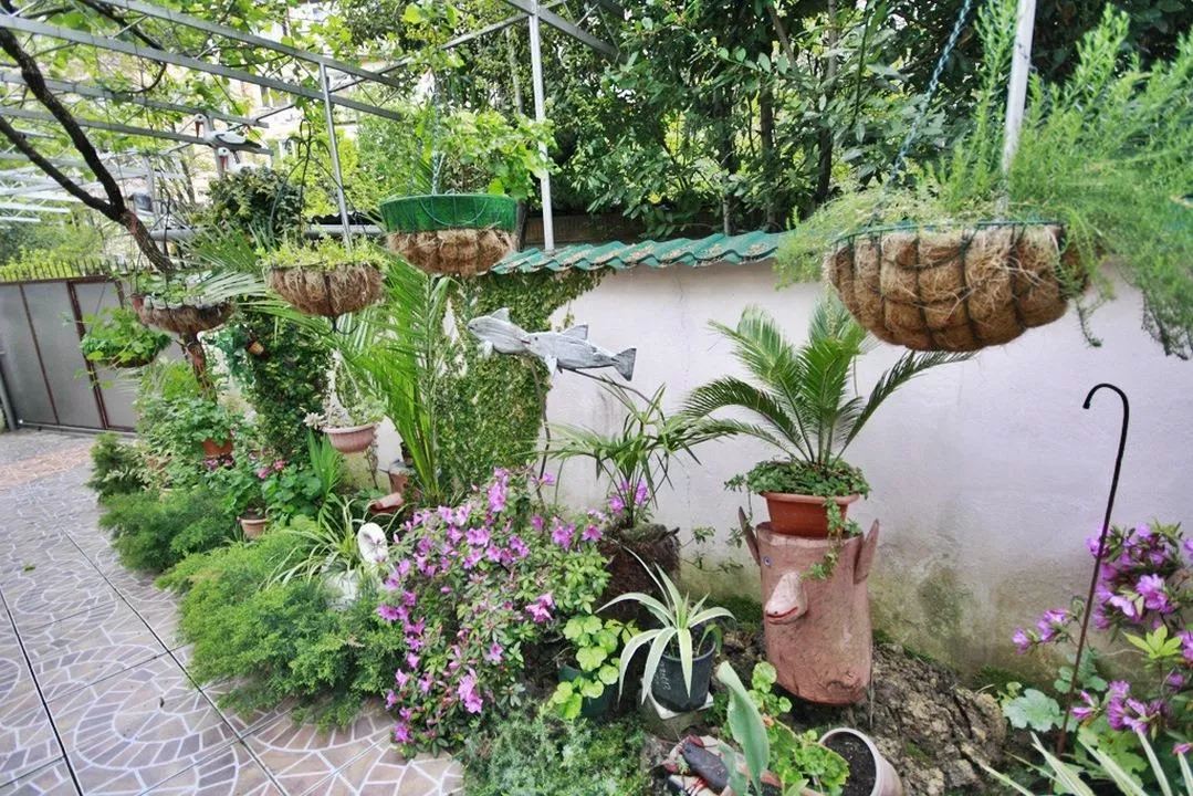 . Гостевой дом «Надежда» . Сочи